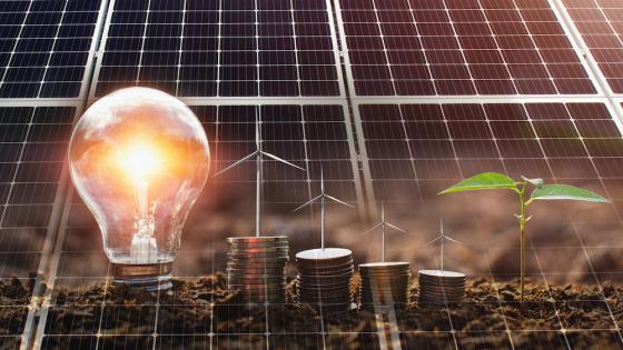 The role of venture capital and governments in clean energy